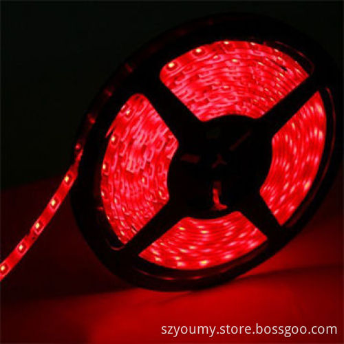 Water-resistant 3528 SMD 120 LEDs/m Red Flexible LED Strip LightsNew